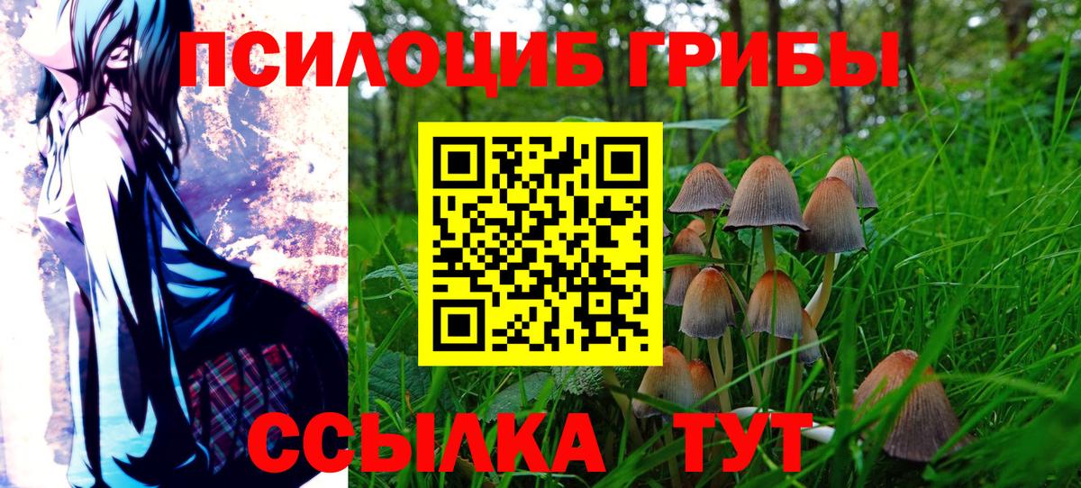 Псилоцибиновые грибы MAGIC MUSHROOMS Мурманск