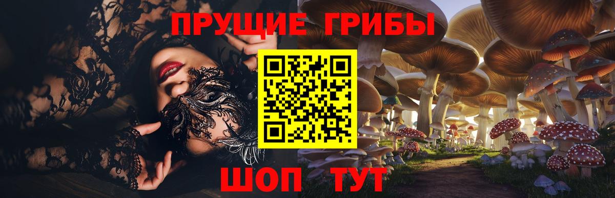 Галлюциногенные грибы мухоморы  Вход с VPN  где найти наркотики  Мурманск  Псилоцибиновые грибы Psilocybe 